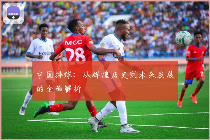中国排球：从辉煌历史到未来发展的全面解析