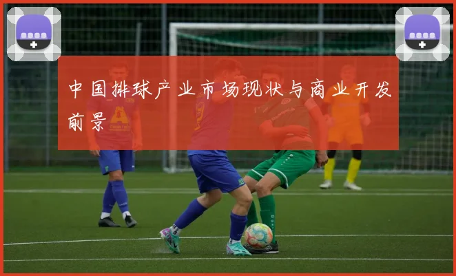 中国排球产业市场现状与商业开发前景