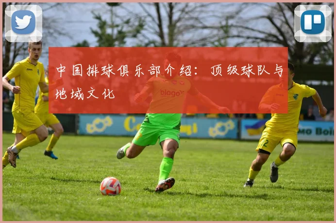 中国排球俱乐部介绍:顶级球队与地域文化