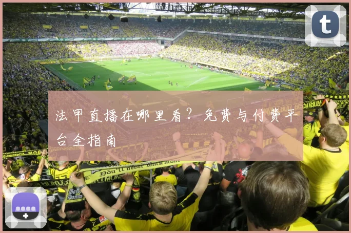 法甲直播在哪里看？免费与付费平台全指南