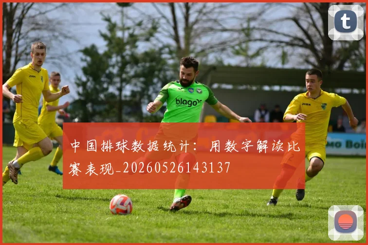 中国排球数据统计：用数字解读比赛表现_20260526143137